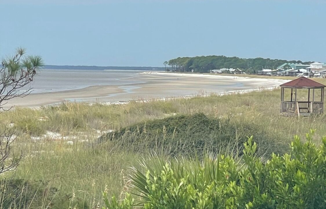 Photo of Others in Alligator Point