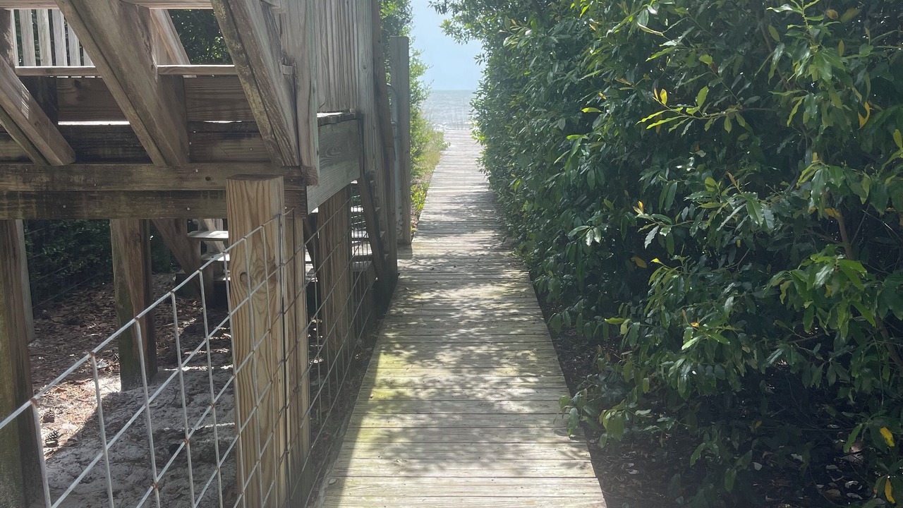Photo of Outdoor in Alligator Point