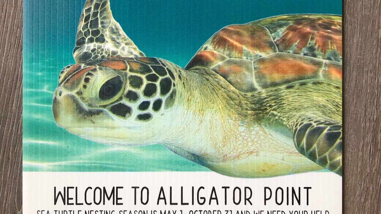 Photo of Others in Alligator Point