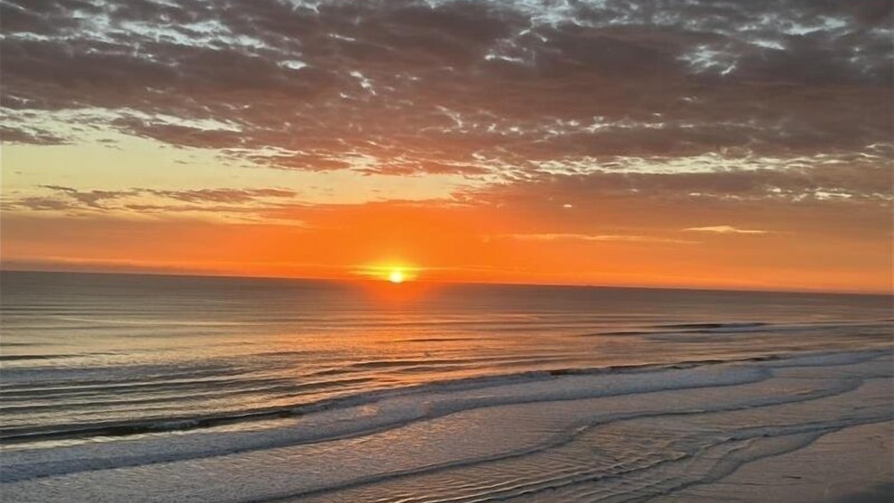 Photo of Others in Daytona Beach Shores