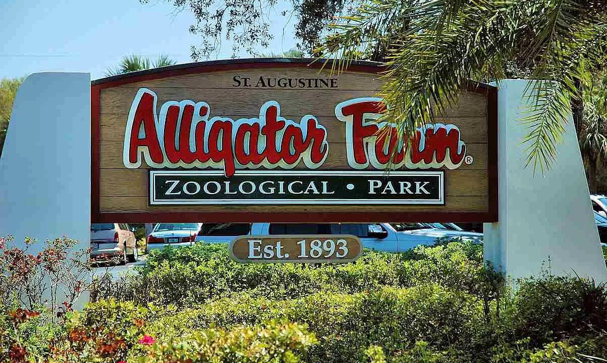 Photo of Outdoor in Saint Augustine Shores