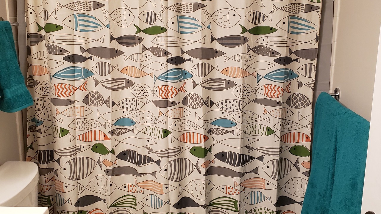 Photo of Bathroom in Saint Augustine Shores