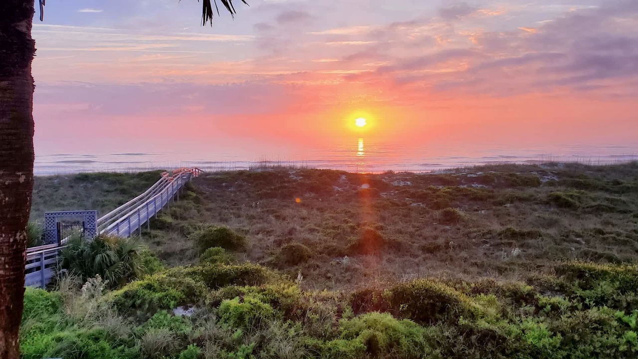 Photo of Others in Butler Beach