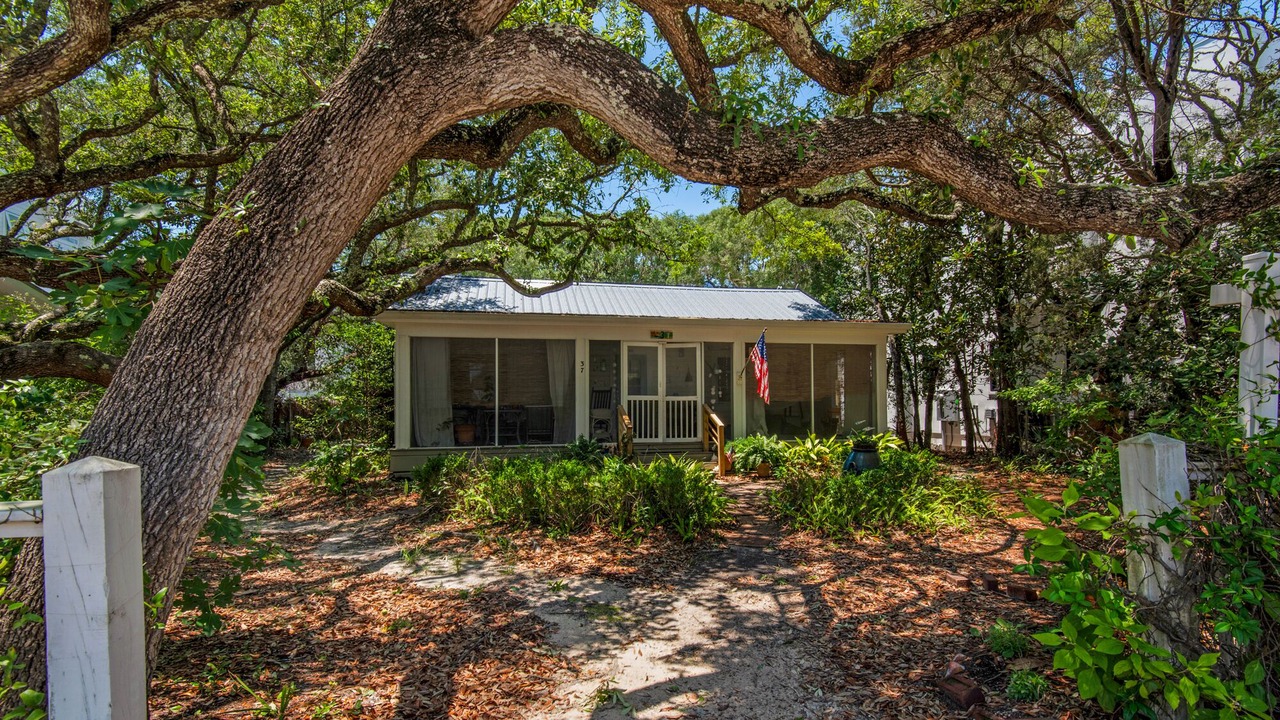 Photo of Outdoor in Seagrove Beach