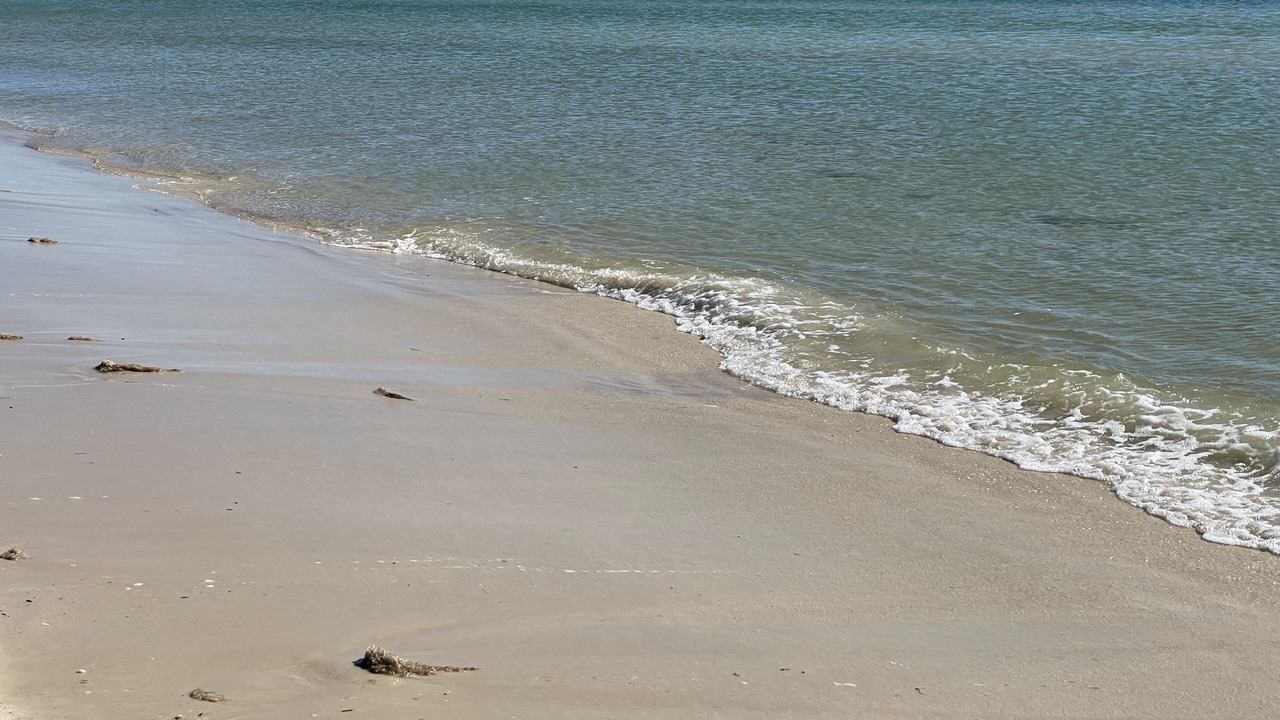 Photo of Others in Fort Morgan