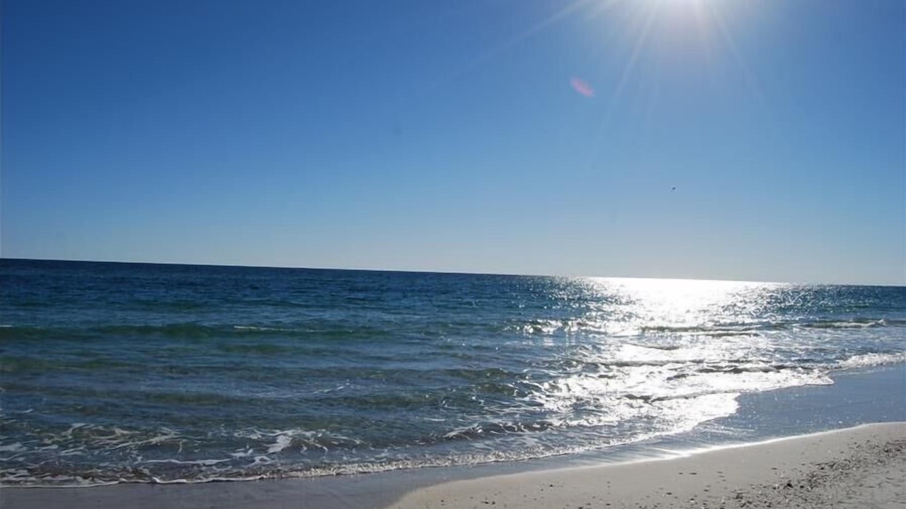Photo of Others in Gulf Shores