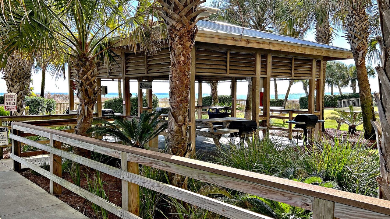 Photo of Outdoor in Ono Island