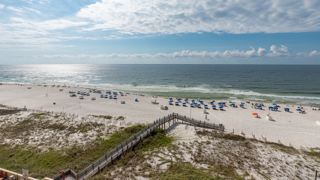 Photo of Others in Orange Beach