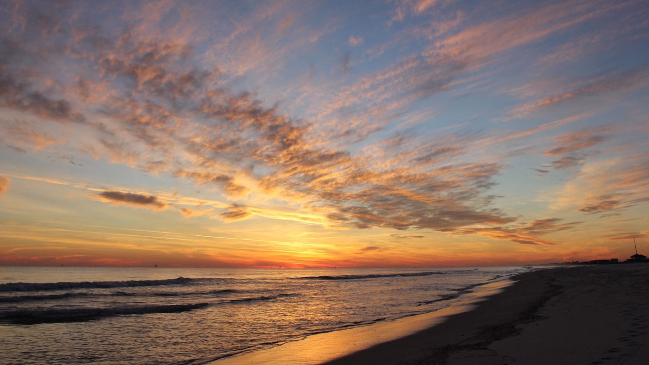 Photo of Others in Gulf Shores