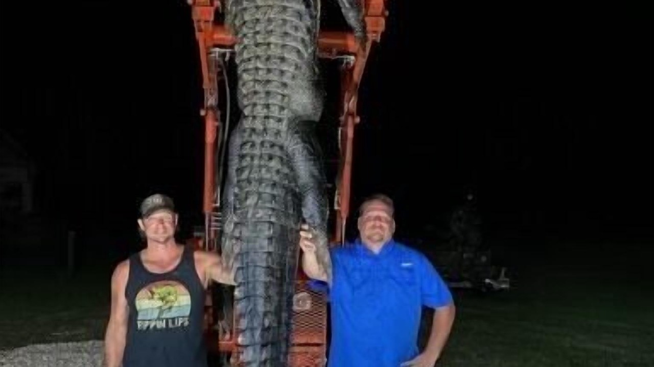 Photo of Others in Donalsonville