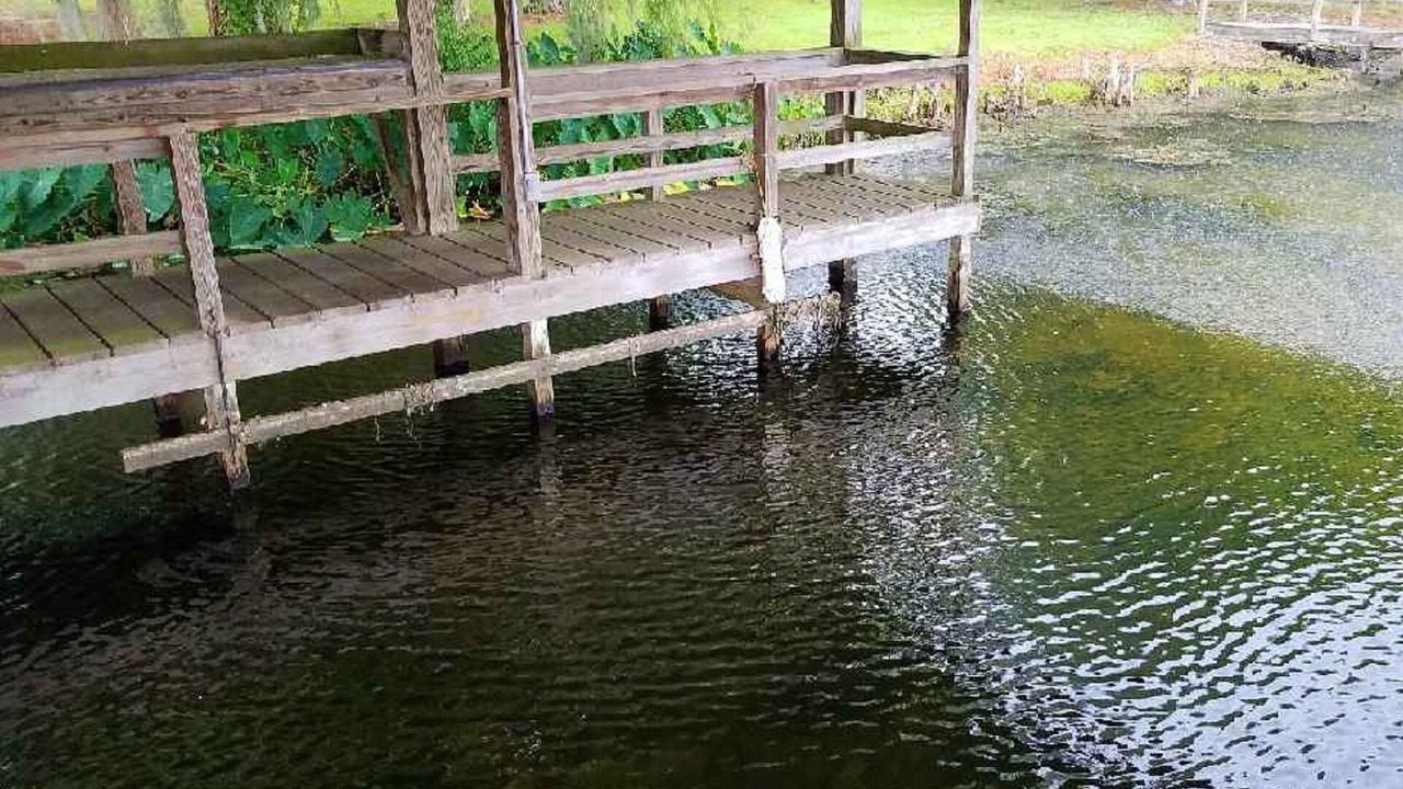 Photo of Outdoor in Donalsonville