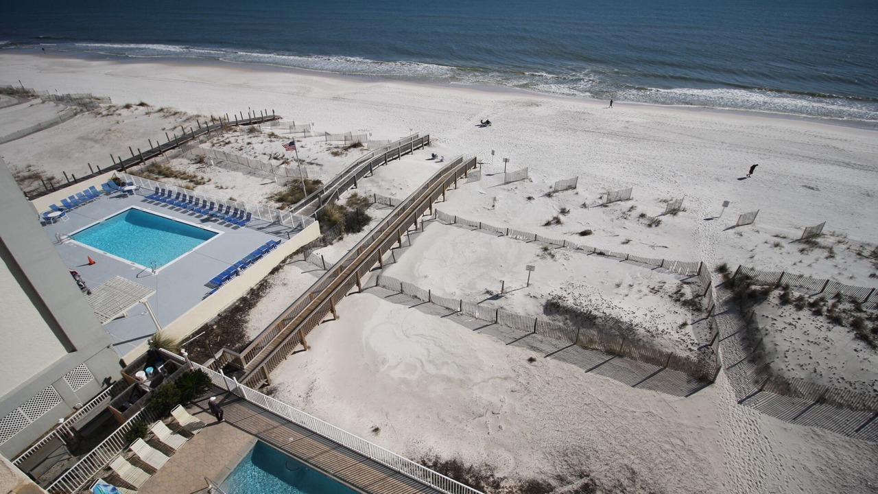 Photo of Others in Gulf Shores