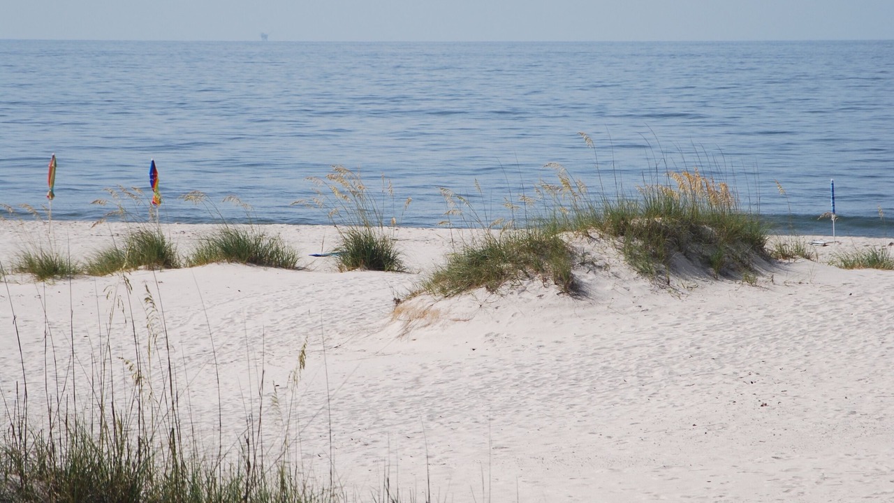 Photo of Outdoor in Fort Morgan