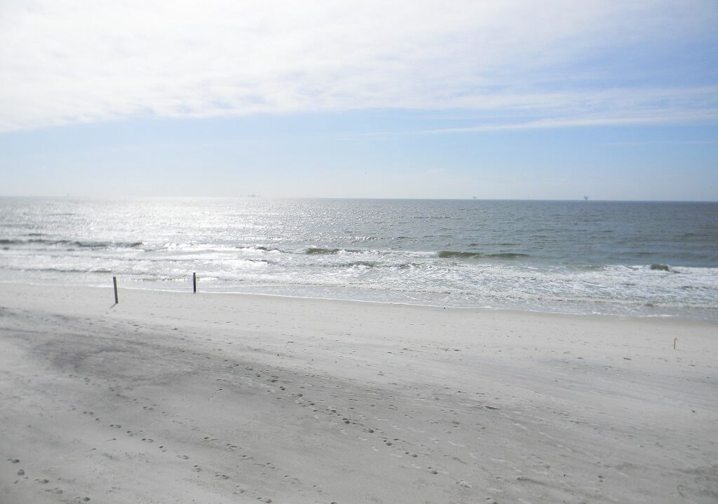 Photo of Others in Dauphin Island