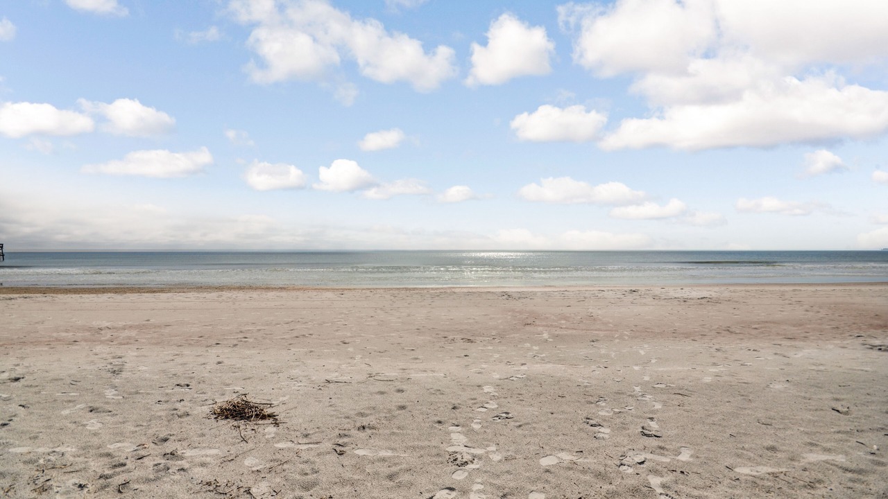 Photo of Others in Fernandina Beach
