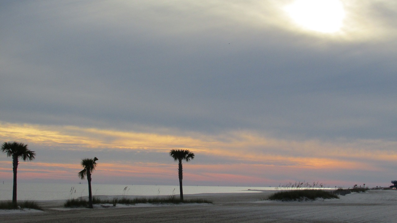 Photo of Others in Biloxi