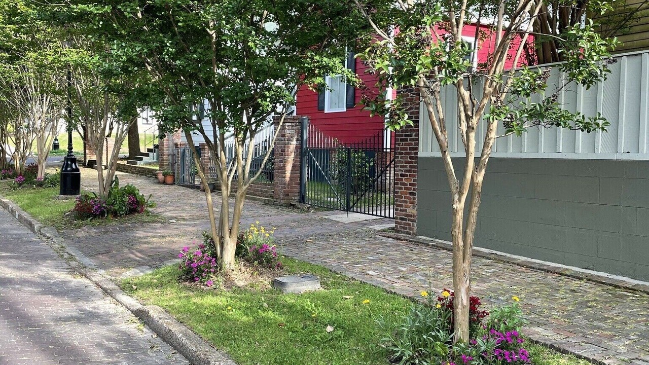 Photo of Outdoor in Vicksburg