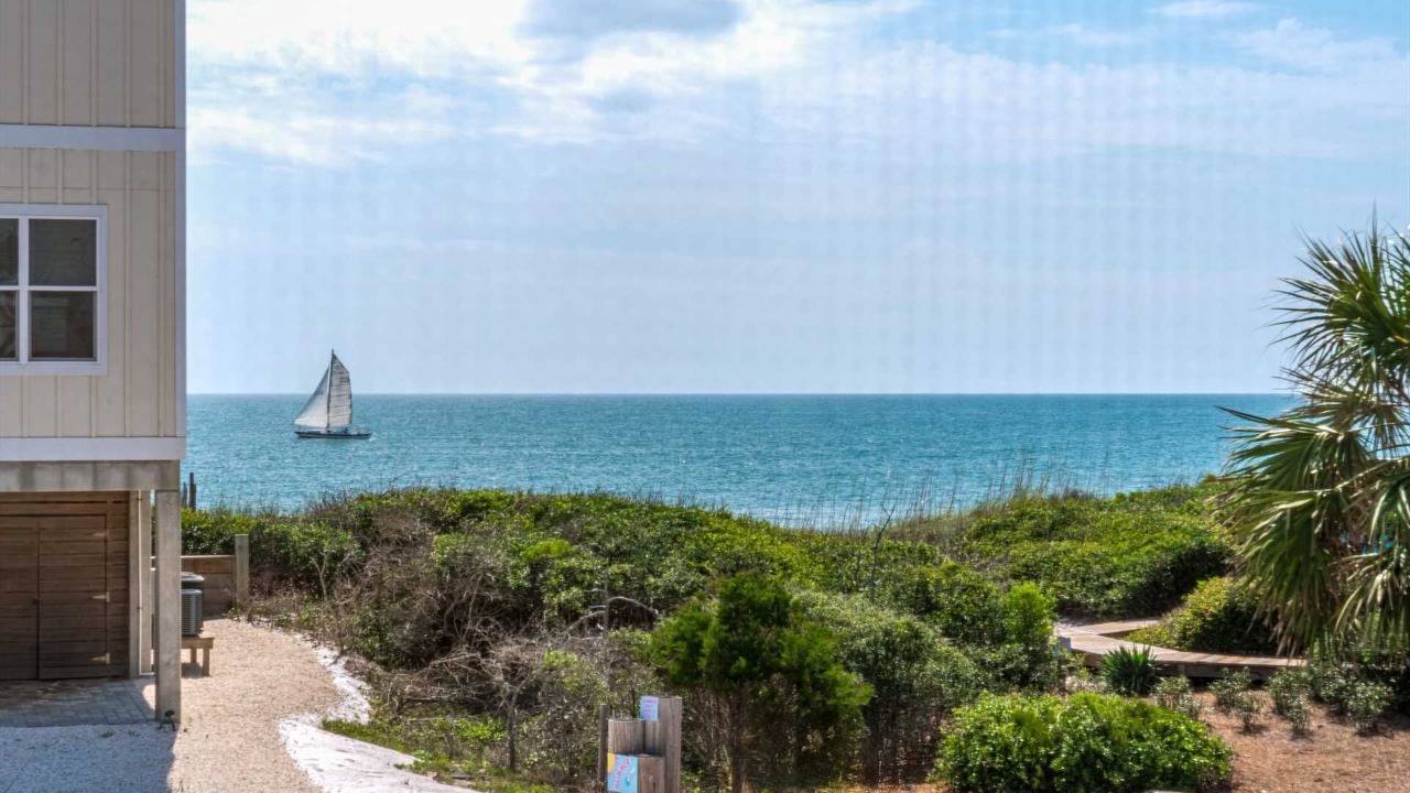 Photo of Outdoor in Cape San Blas