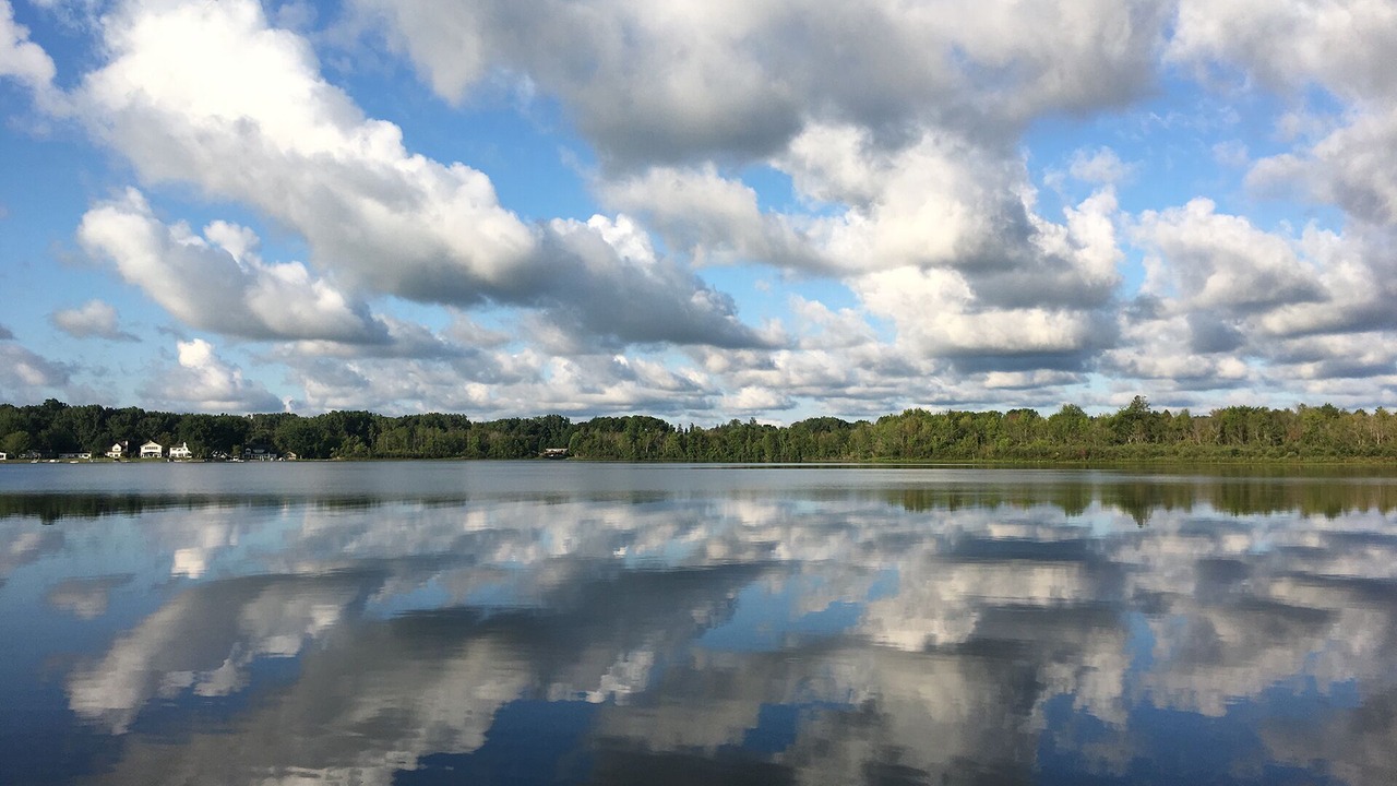 Photo of Others in Fennville