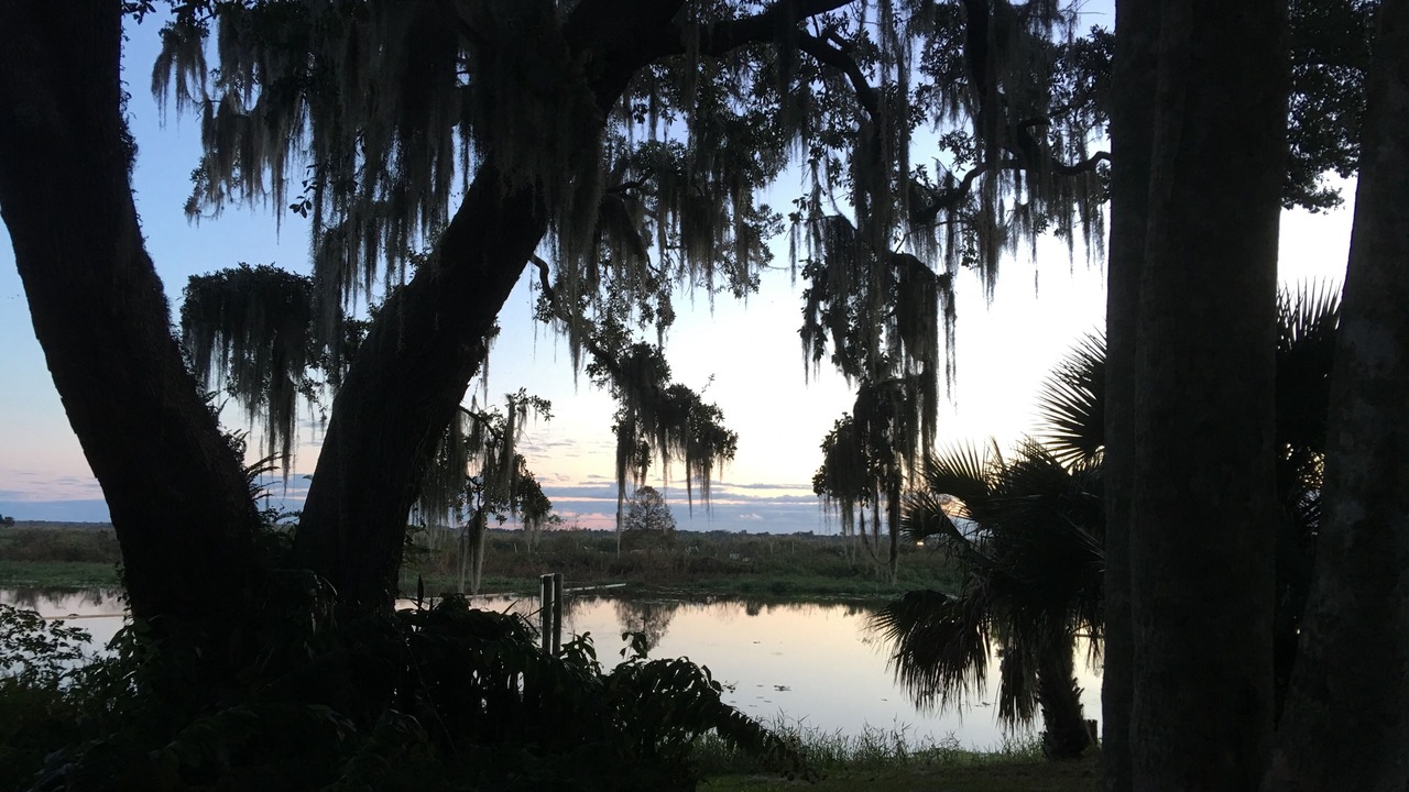 Photo of Outdoor in Sanford