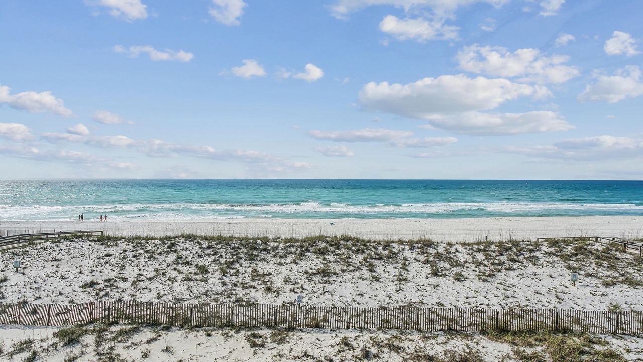 Photo of Others in White Sands First