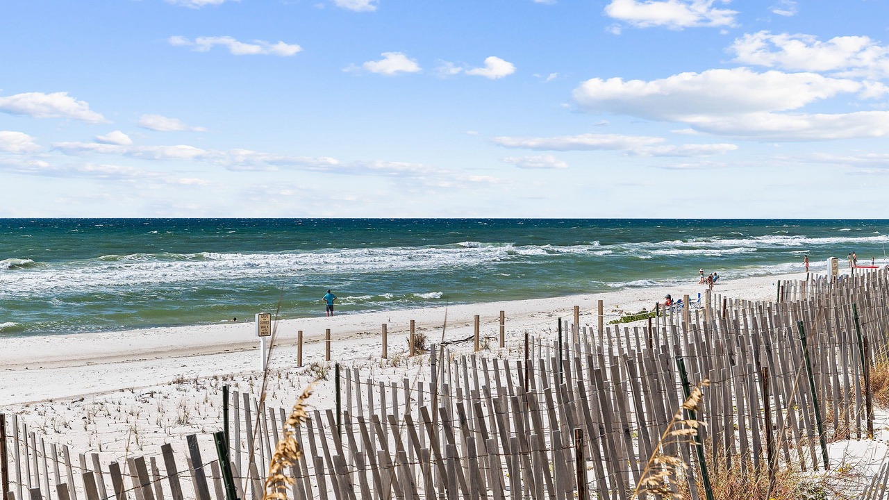 Photo of Others in Cape San Blas