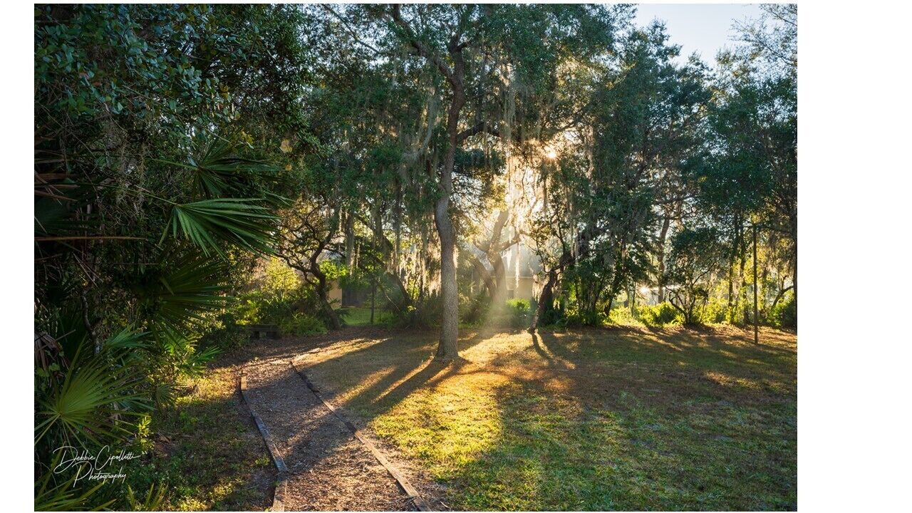 Photo of Outdoor in Chuluota