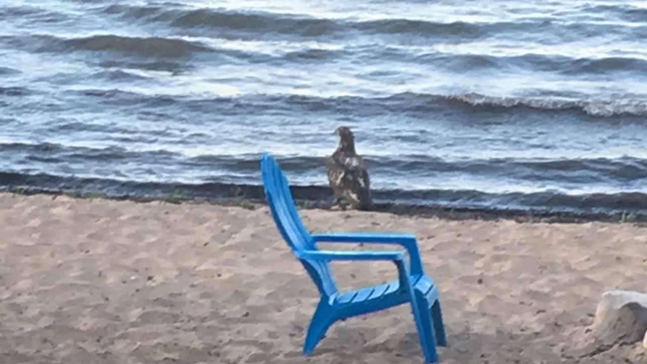 Photo of Others in Cheboygan