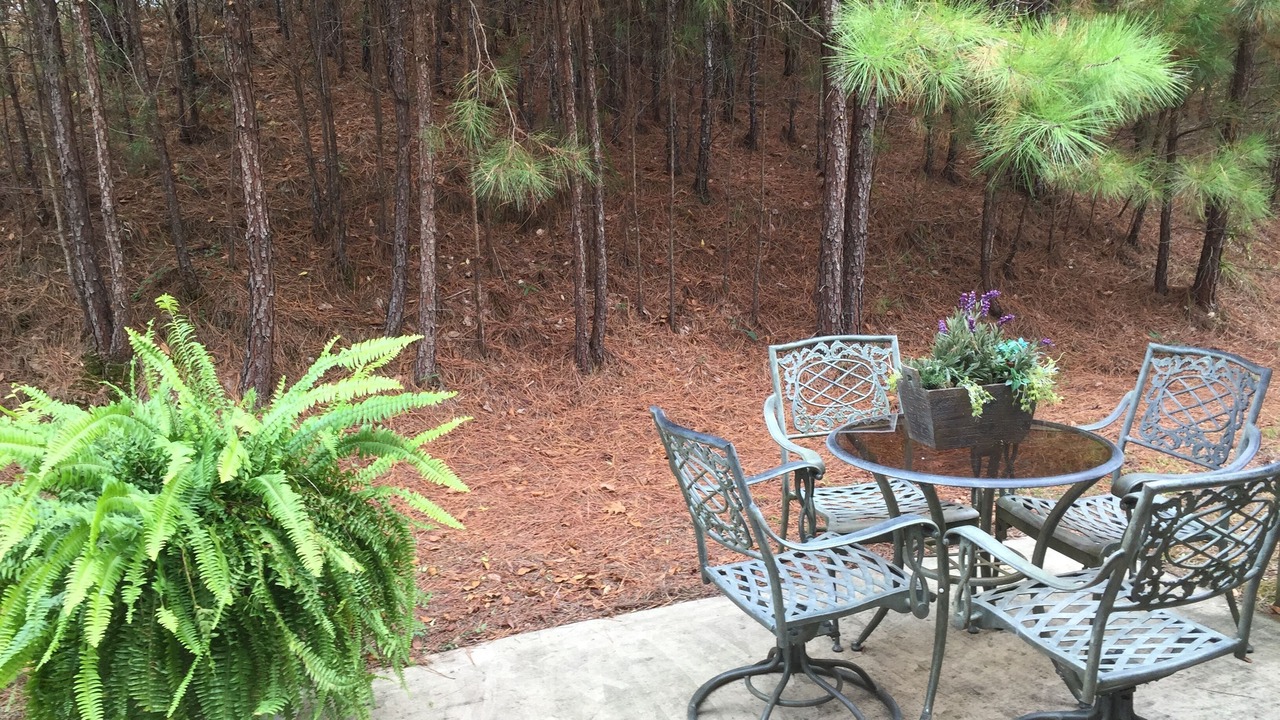 Photo of Others in Hoover