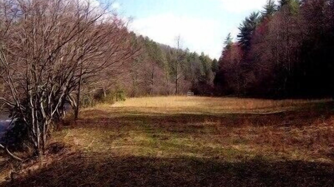 Photo of Others in Blue Ridge