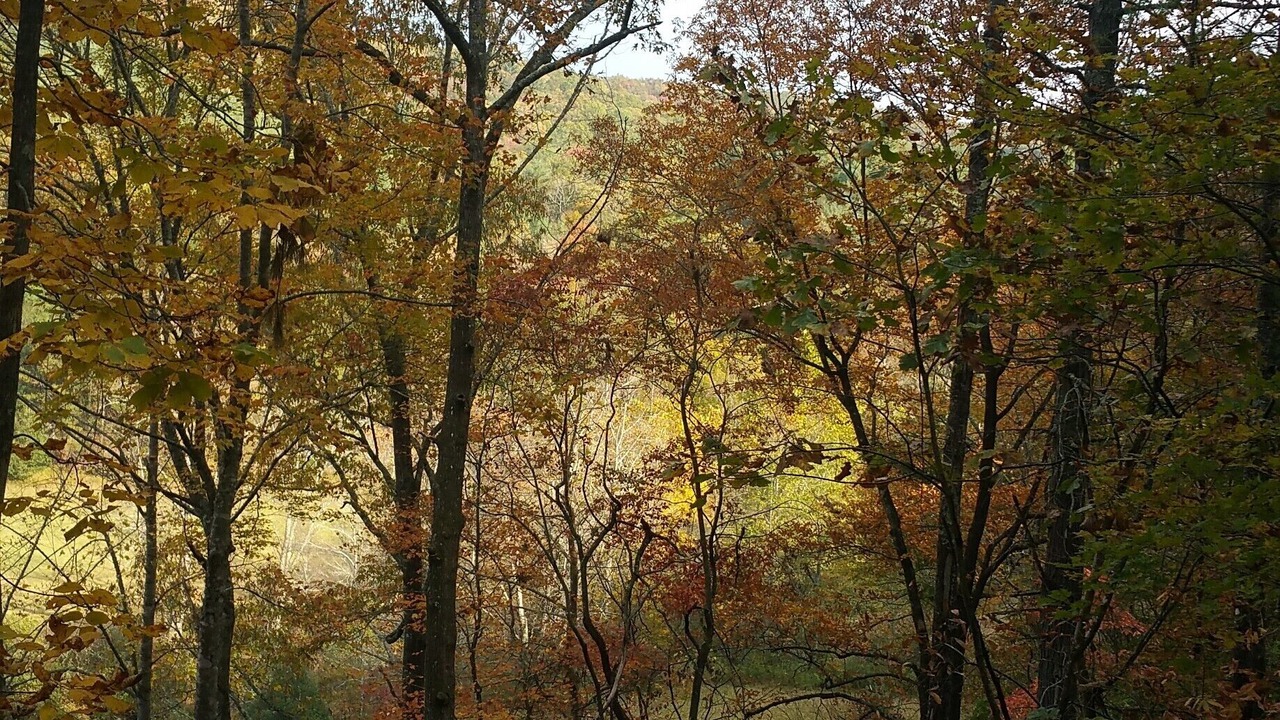 Photo of Outdoor in Blue Ridge