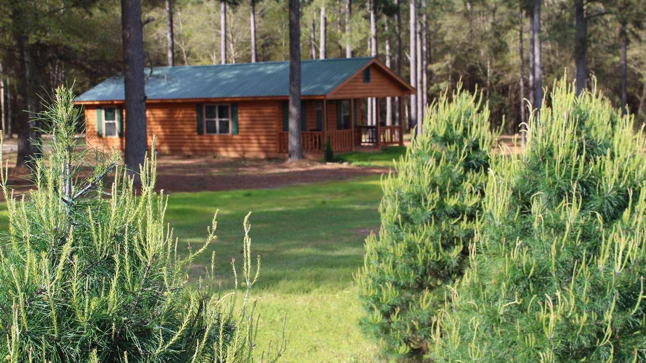 Photo of Outdoor in Fairhope