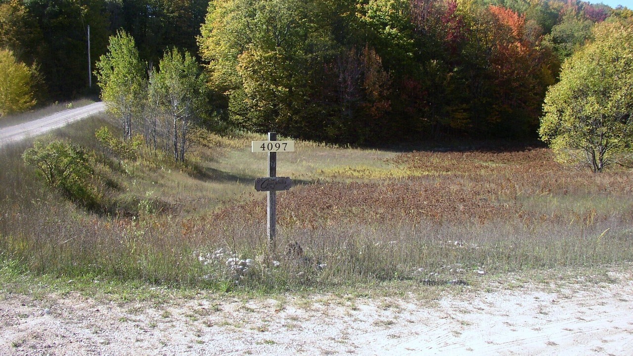 Photo of Outdoor in Mesick