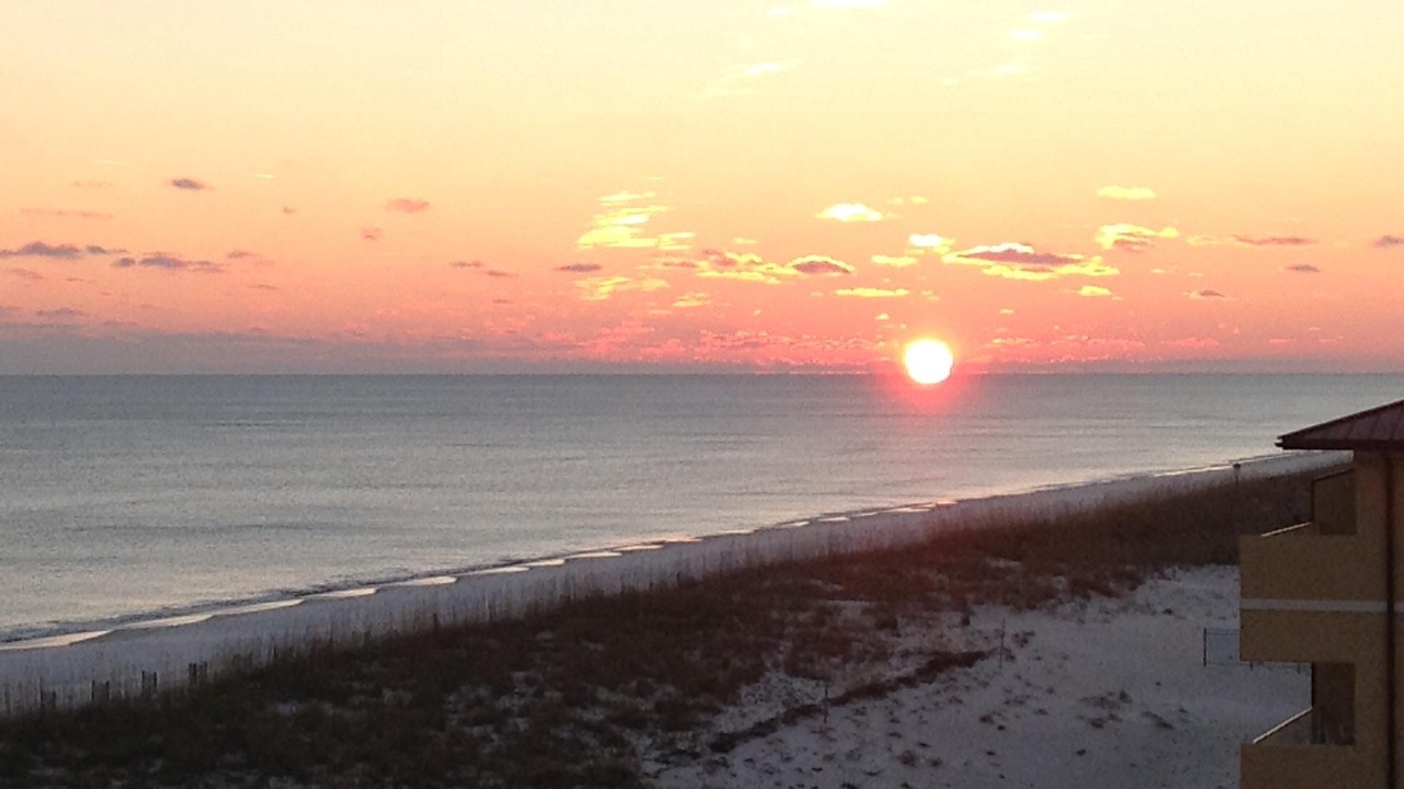 Photo of Others in Pensacola Beach
