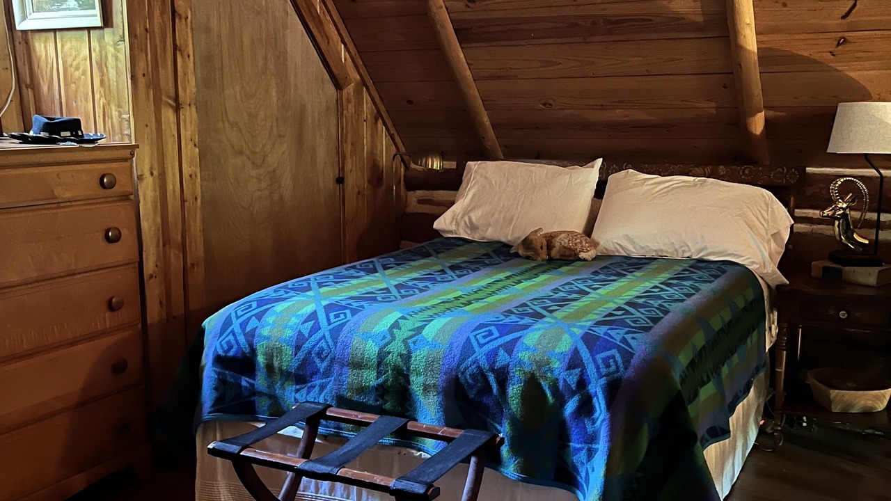 Photo of Bedroom in Good Hart