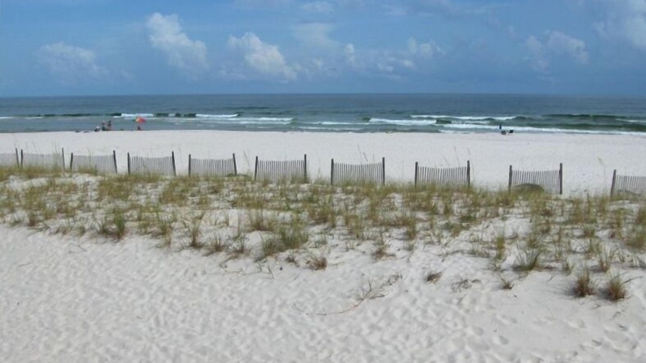 Photo of Others in Gulf Shores