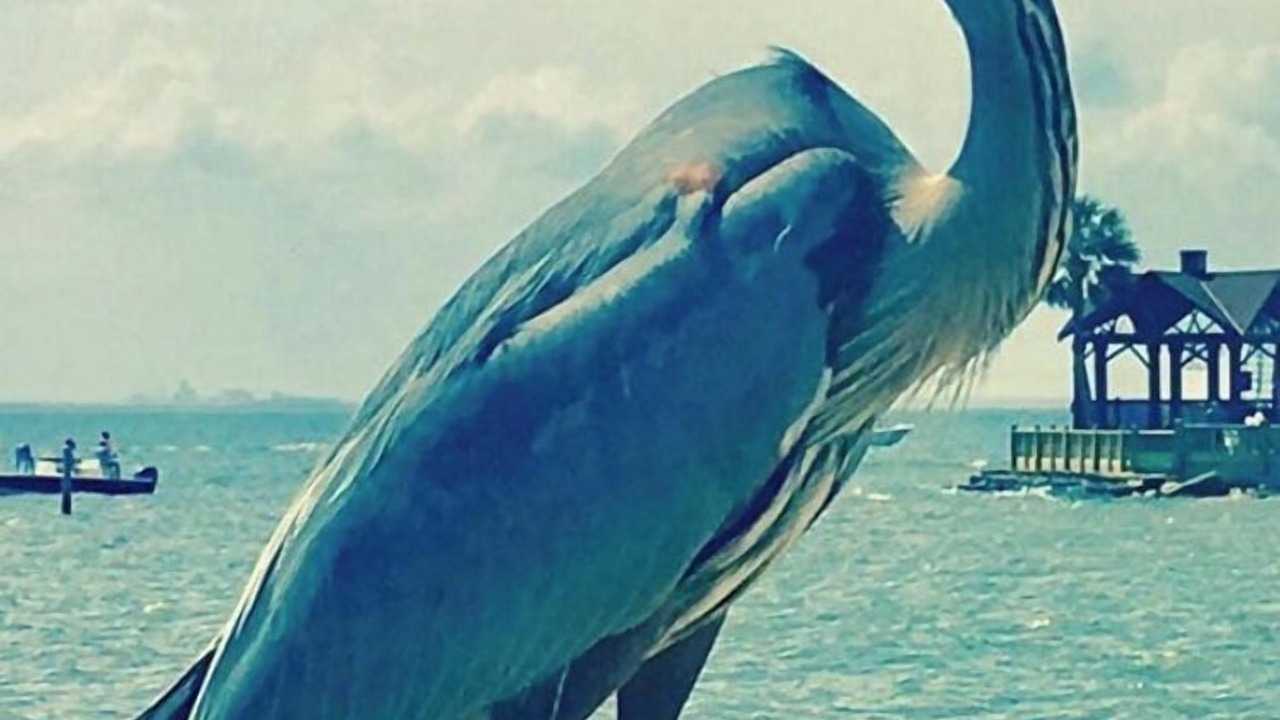 Photo of Others in Dauphin Island