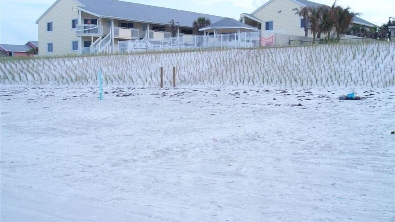 Photo of Others in New Smyrna Beach