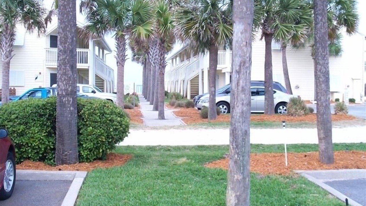 Photo of Others in New Smyrna Beach