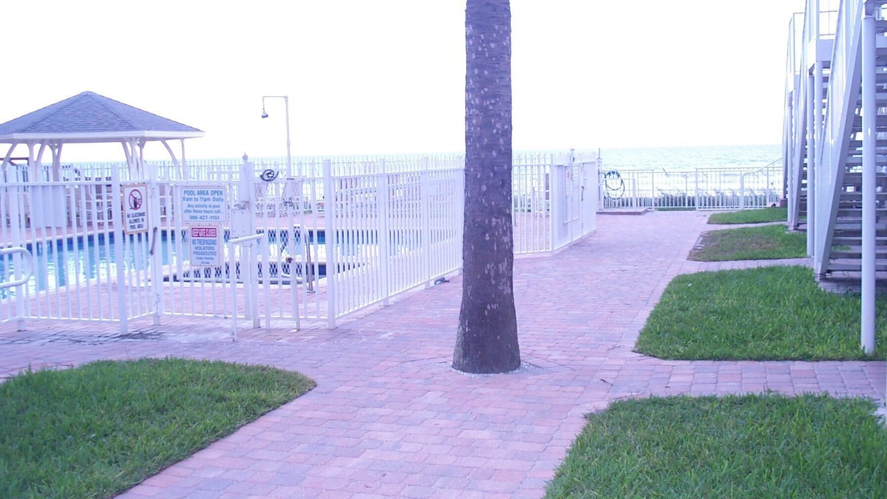Photo of Others in New Smyrna Beach