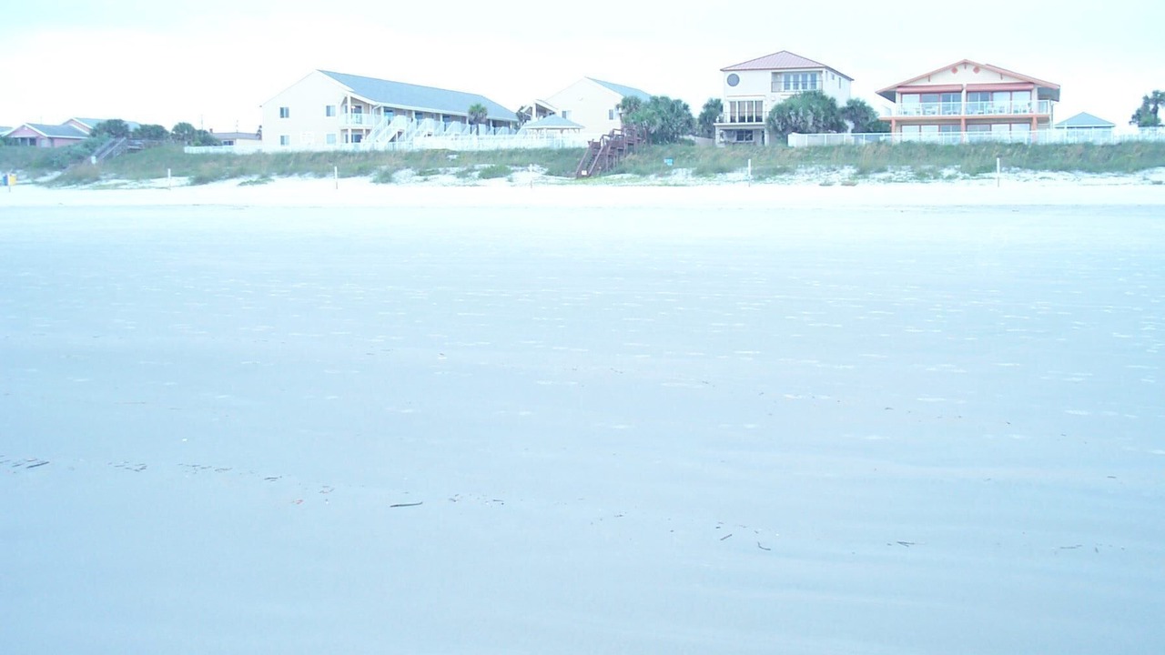 Photo of Others in New Smyrna Beach