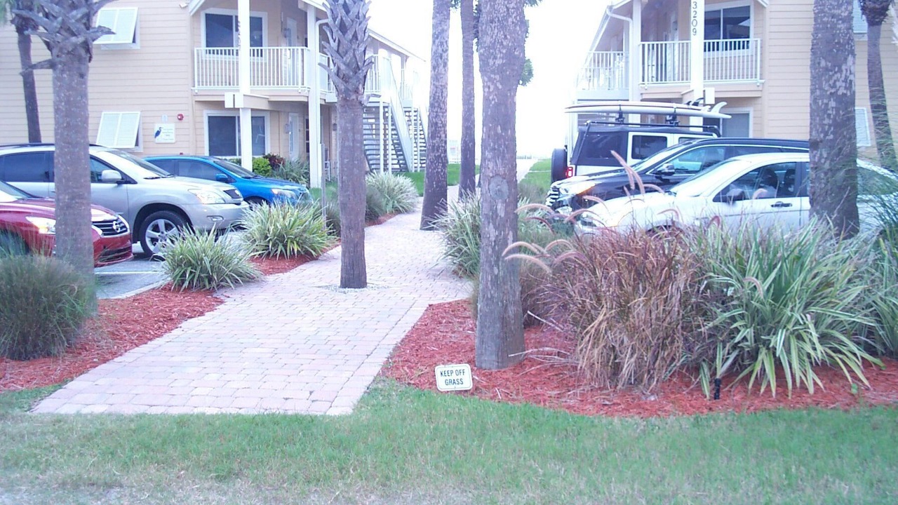 Photo of Outdoor in New Smyrna Beach