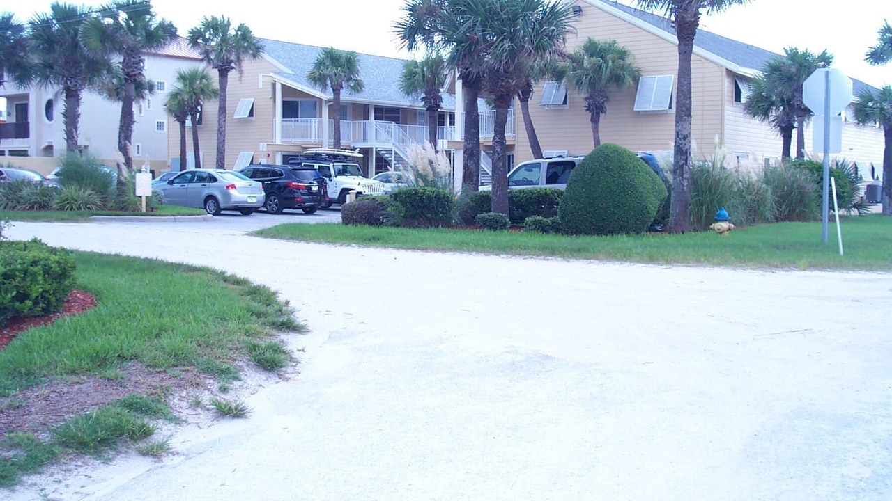 Photo of Others in New Smyrna Beach