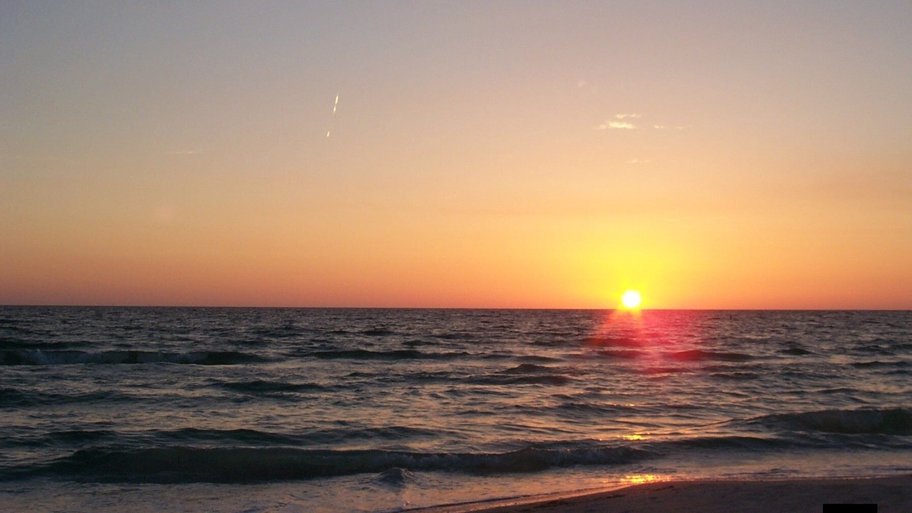 Photo of Others in New Smyrna Beach