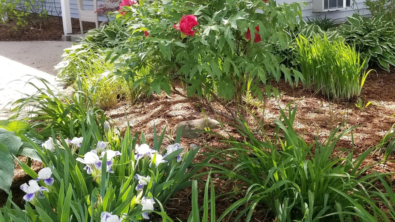 Photo of Outdoor in Saugatuck