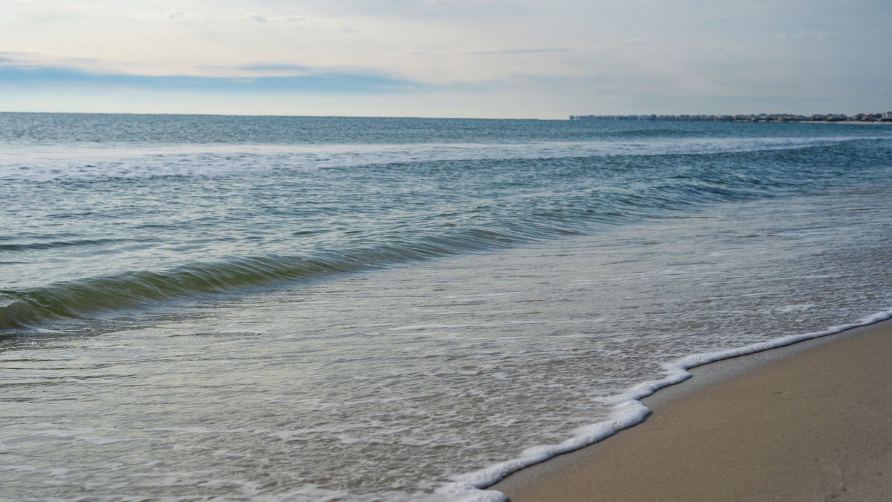 Photo of Others in Dauphin Island