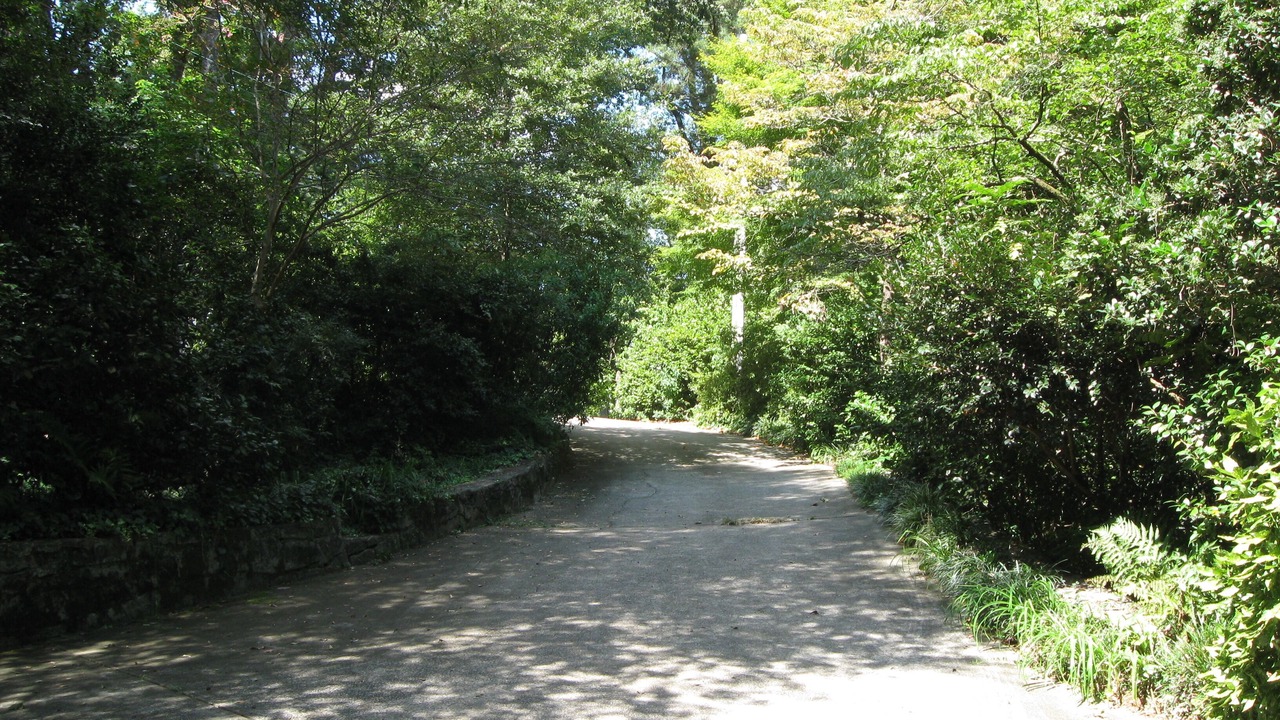 Photo of Others in East Side