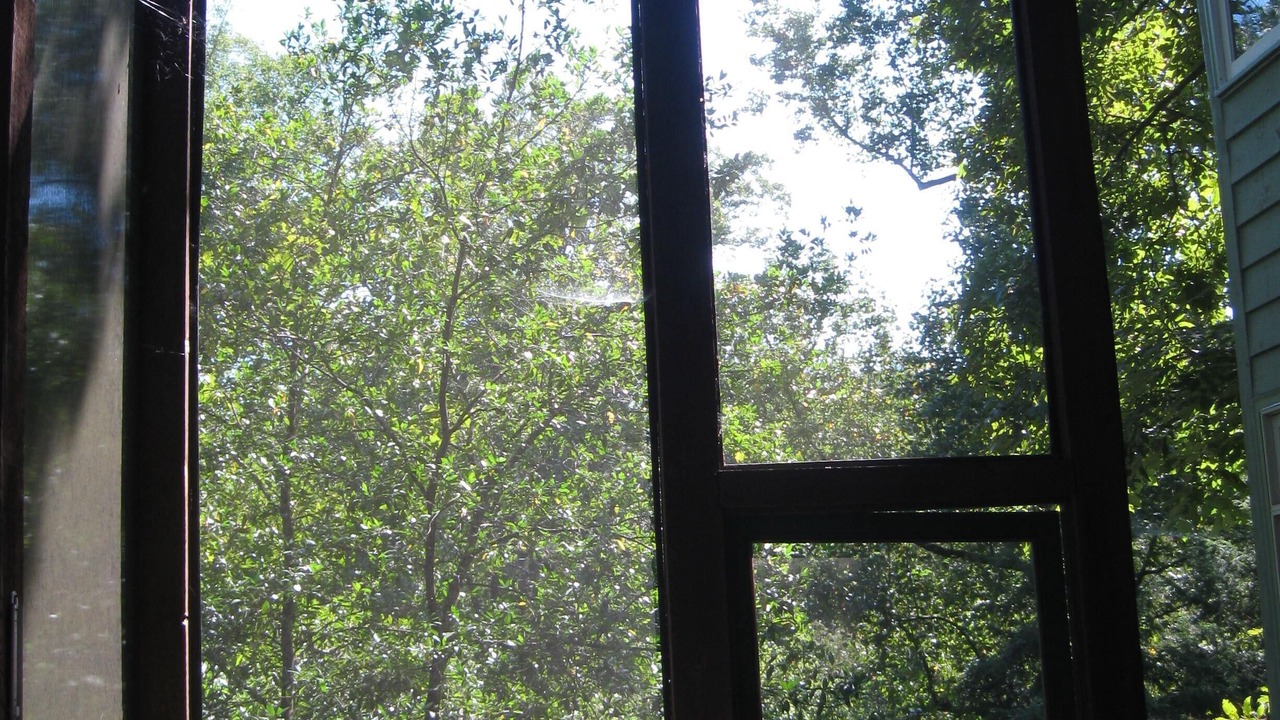 Photo of Outdoor in East Side