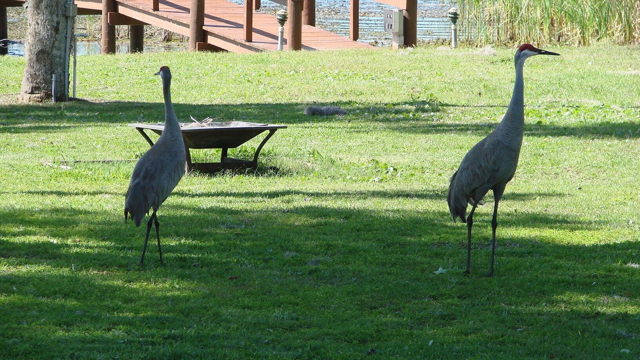 Photo of Others in Georgetown