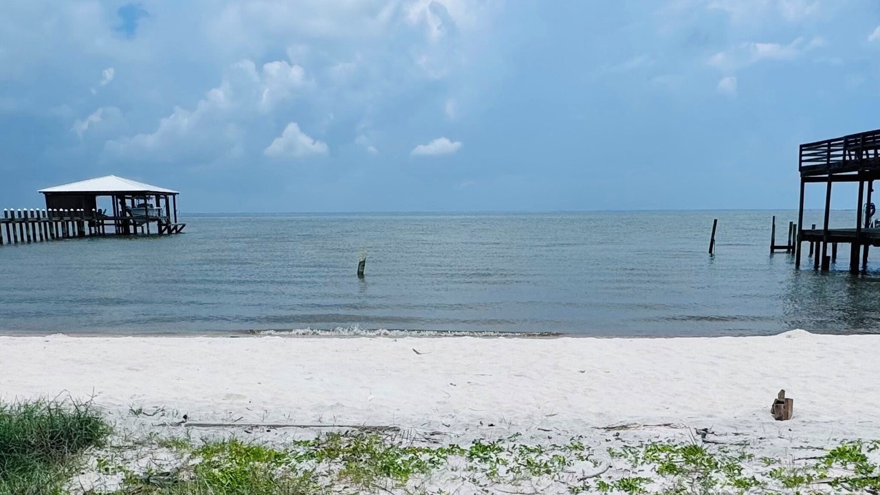 Photo of Others in Dauphin Island